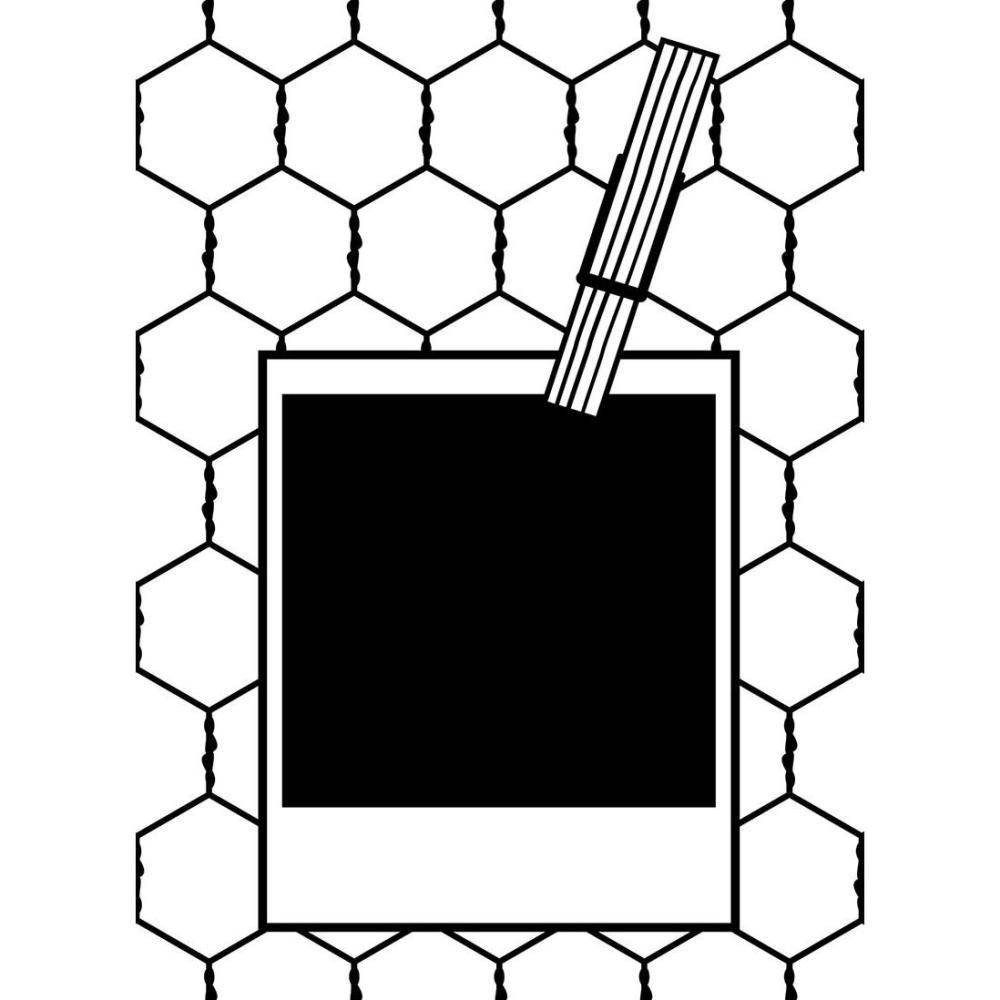 #155 Darice Embossing Folder «POLAROID»