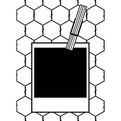 #155 Darice Embossing Folder «POLAROID»