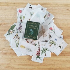 100 Mini Nature Botanical Prints on Cardstock Flowers Floral Vintage Pictures