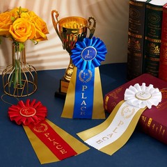 Award Ribbons Rosette Prize Set 1st 2nd 3rd Place 3 Pack