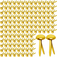 Paper Brass Fasteners, 3/4-Inch Metal Brass Brads Round Brads for Paper Crafts M