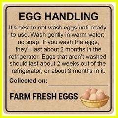 Farm Fresh Egg Handling Instruction Sticker, 2 inch, 300pcs, Kraft Paper, Bro…
