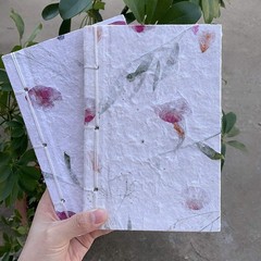 17 Types 48PCS Real Dried Pressed Flowers Leaf Plant Herbarium for Colorful