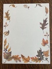 FALL Scrapbook Paper, Leaf Punch Out Die Cuts And Autumn Card-Stock (19pcs)