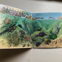 FISH Japanese Stickers book 274 stickers Shogakkan NEO Book Series