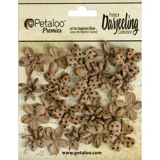 Petaloo «WILD MIN BLOSSOMS 24 PCS. IN CRAFT BROWN» 1481-200