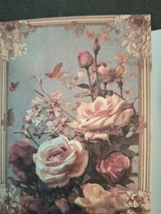 120 Sheets Vintage Material Scrapbooking Paper Pack The Rose Manor 5 1/2X 3 3/4