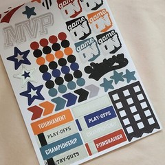 NEW Paper House Life Organized Planner Sticker Book Sports 260 Pcs 4 pgs -C