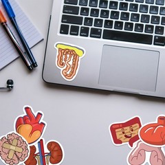65Pcs Cartoon Colorful Heart Brain Organ Doodle Stickers – Luggage/Fridge/Notebo