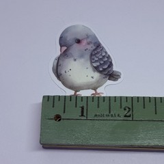 Cute Baby Pigeon Animal Sticker Vinyl Decal Journal Wall Fun Art Decor Tc9