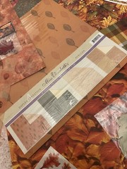 Mixed Lot of AUTUMN FALL Scrapbook Paper, Stickers And Ephemera