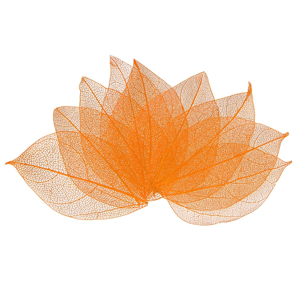 100-Pack Skeleton Leaves, Natural Rubber Tree Leaves Vein[4-6cm, Orange]