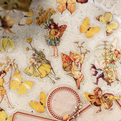 Vintage Flower Fairy Stickers 300Pcs Lot, Belebee 6 Packs Butterfly Fantasy Tran