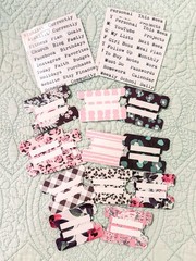 Scarlet Lime Planner Society Planner Tabs & Label Sticker TN Traveler’s Notebook
