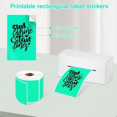 3 x 5 inch Home Moving Box Labels for Storage Bins 300pcs Colored Blank Label…