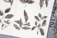 flower sketch vellum sticker | calla lily flower Silver foil black white