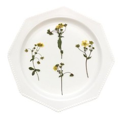 12PCS Real Pressed Dried mini Yellow Flower with leaves stem for art Craft FHT59