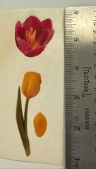 Vintage Magic Wax Pink Yellow Tulip Petals Green Stem Flower Scented Sticker Lot