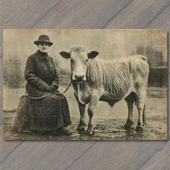 STICKER Edwardian Woman Highland Cow Rural Farm Portrait Antique Sepia