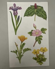 Mrs. Grossman’s Large Stickers Wildflowers