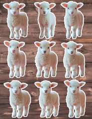 Cute Little Lamb Die Cut Vinyl Stickers Set Scrapbooking Laptop WaterBottle