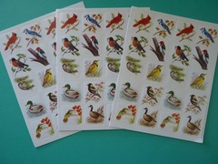 Vintage 1997 Eureka BIRD VARIETY Stickers (3) Complete Sheets Paper Magic Group