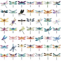 50 Pcs Dragonfly Decorative Stickers for Water Bottle Laptop Journals Luggage