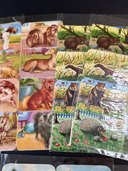 LOT OF 7 Full Sheets VTG Animals Birds Dogs EAS Die Cut Paper Scrap Germany