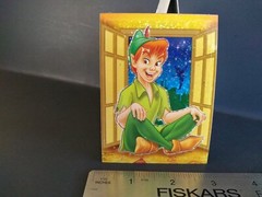Disney Sticker PETER PAN Prism Vending Machine Sticker RARE HTF