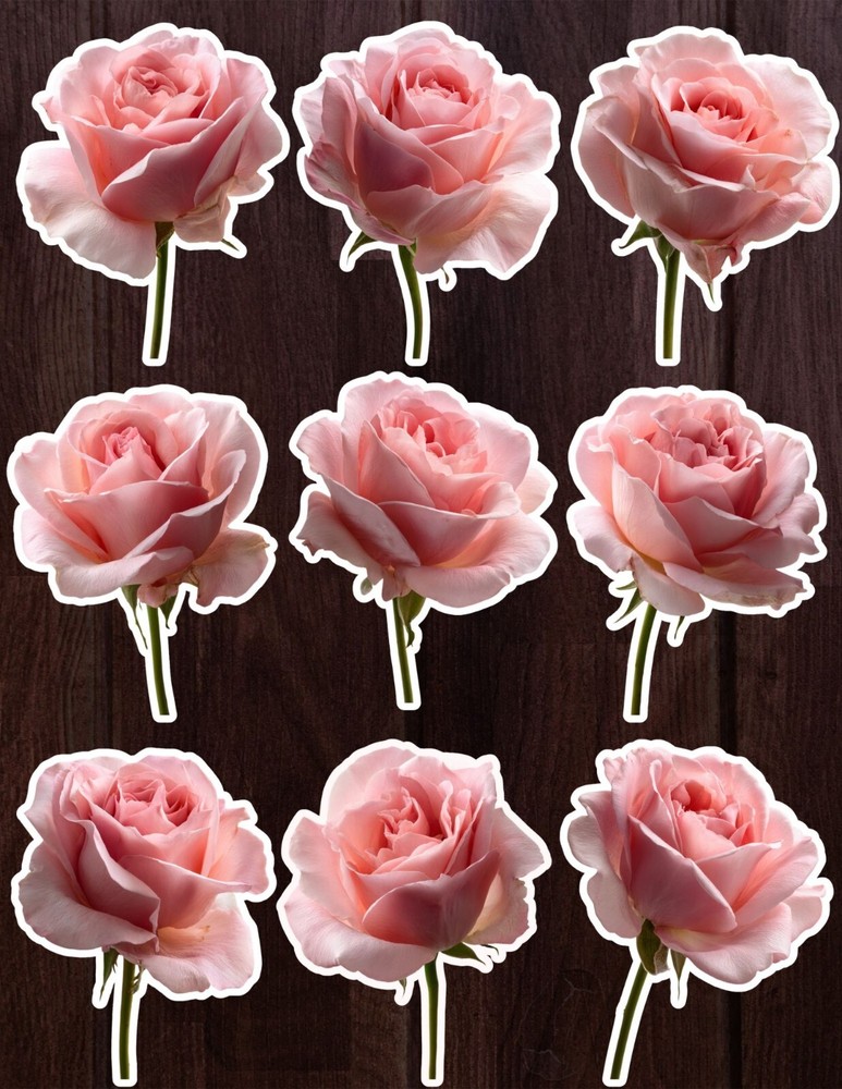Pretty Pink Rose Die Cut Vinyl Stickers Set Scrapbooking Laptop Water Bottle
