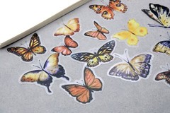 yellow butterfly sticker | yellow black butterfly beautiful themed PET