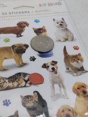 American Greetings Cute Cats & Dogs Stickers 3 Sheets