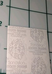 Vintage Sandylion Stickers Teddy Bears Line Dancing Cowboy Boots Country Module