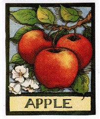 APPLE Stickers RA LANG Set of 10 Modules Sheets!