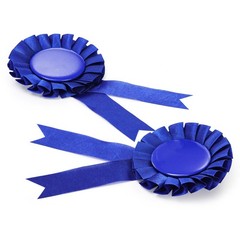 20 PCS Blue Blank Award Ribbons DIY Satin Recognition Participation Victory