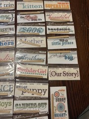 Lot of 72 My Mind’s Eye Bohemia Transfer Titles Rub-Ons Scrapbook