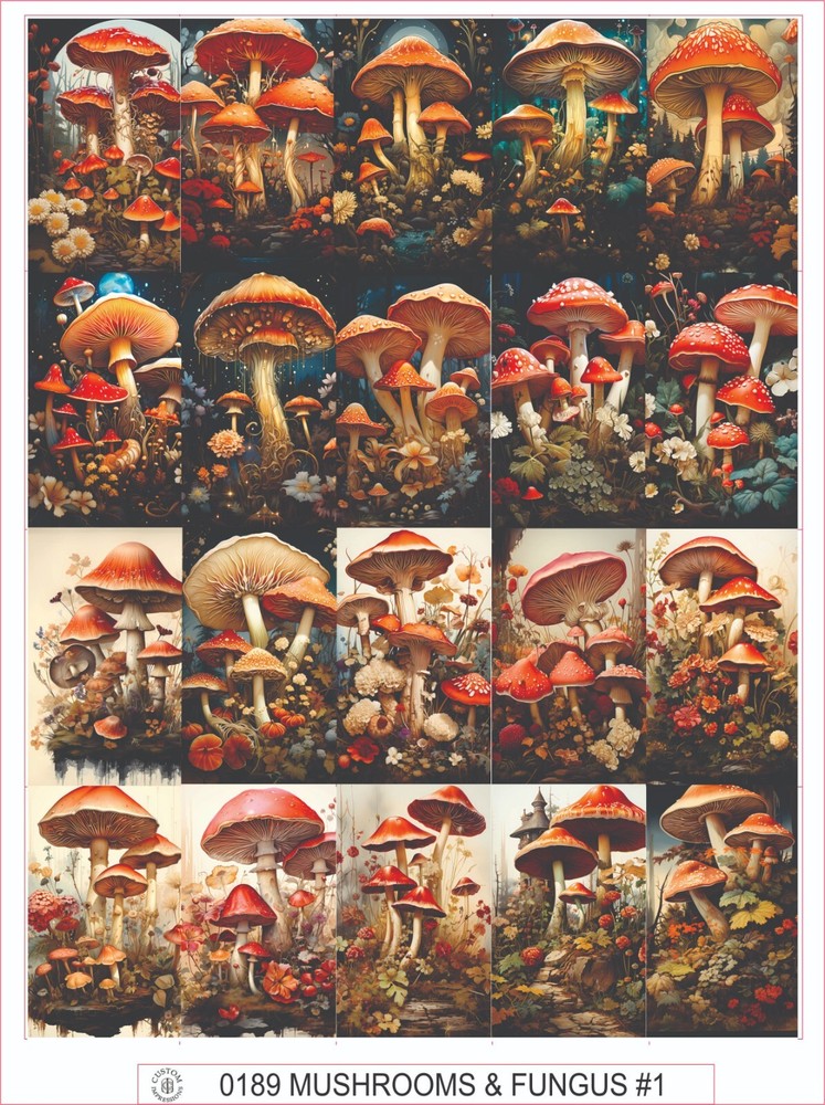 MUSHROOMS & FUNGUS #1 – COMPLETE SHEET OF 20 STICKERS