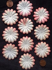 10 Flowers flower petals Apricot Peach Salmon handmade mulberry paper Daisy
