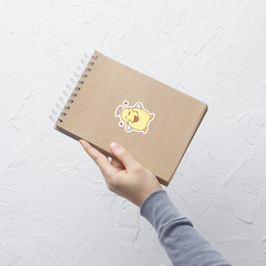 Kawaii Aesthetic Angel Wings Chick Vinyl Sticker for Laptop Phone case Notebook