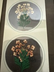 Lot Of 8 REAL Pressed Flowers Stickers Vintage Victorias Garden Scrapbook-22