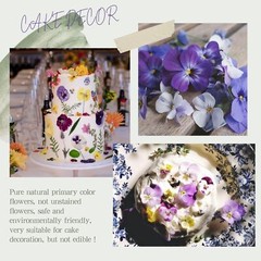 48 Pcs Mix Natural Dried Pressed Flowers for Cake Decorating, Johnny Jump Up