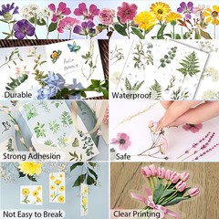 Arme Flower Stickers for Scrapbooking(590 Pieces, 48 Sheets),Decorative Flora…