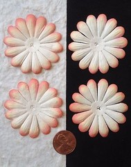 10 Flowers flower petals Apricot Peach Salmon handmade mulberry paper Daisy