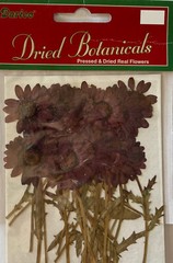 PURPLE PRESSED & DRIED REAL FLOWERS(20pc)Darice•Leaves•Garden Stem•Blooming•buds