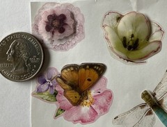 FLOWER Dimensional Stickers (13pc)Hallmark•Vellum•Pop-Ups Butterfly•Card Making•