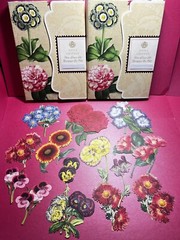 Anna Griffin More Flower Pot 30 PCS Diecuts – Colorful & Retired + Bonus & More!