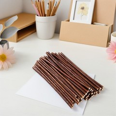 50Pcs Reusable Dried Wood Sticks for DIY Crafts Rustic Coffee Branch Supplies