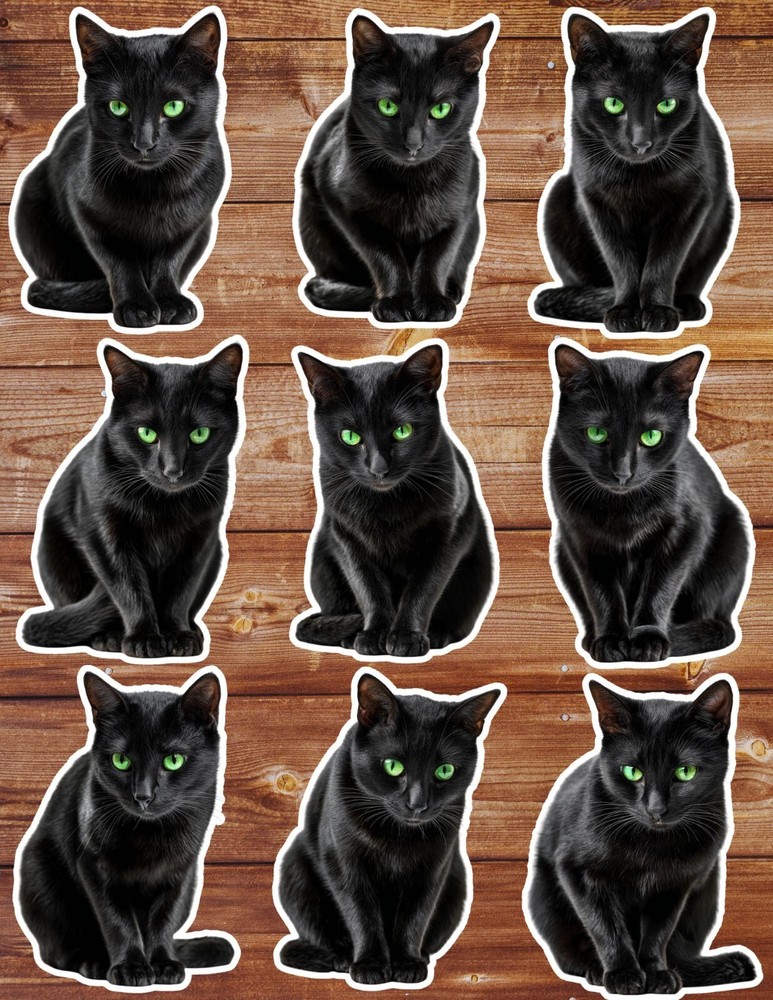 Black Cat Green Eyes Die Cut Vinyl Stickers Set Scrapbooking Laptop Water Bottle