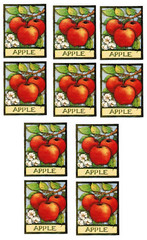APPLE Stickers RA LANG Set of 10 Modules Sheets!