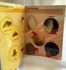 Baby Animals Polar Pals Soft Cover Sticker Book (Over 50 Reusable Stickers)